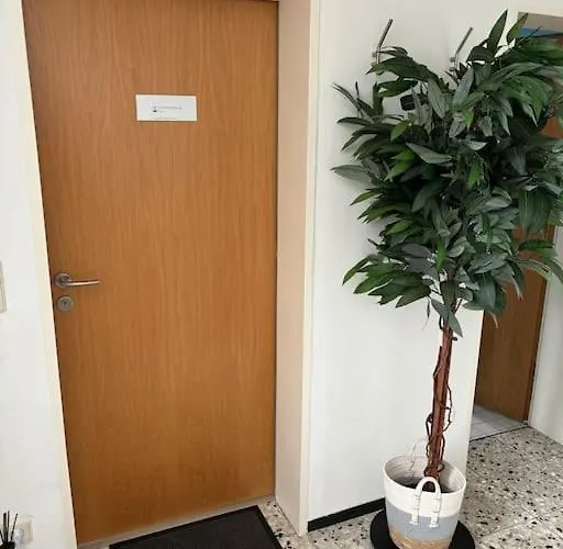 Deluxe Bella 바크낭